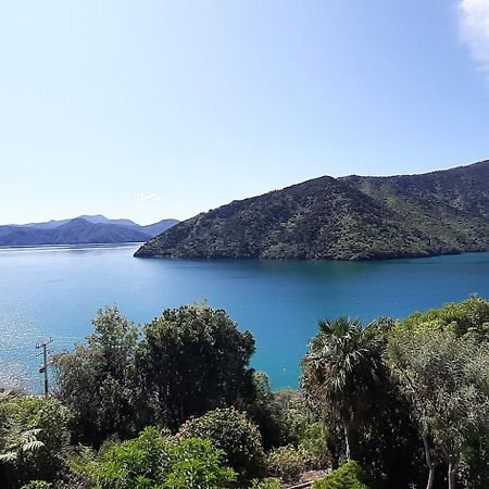 A Sea View B&B Пиктън Екстериор снимка