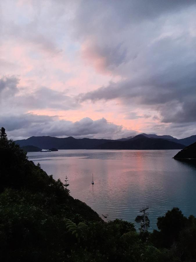 A Sea View B&B Пиктън Екстериор снимка