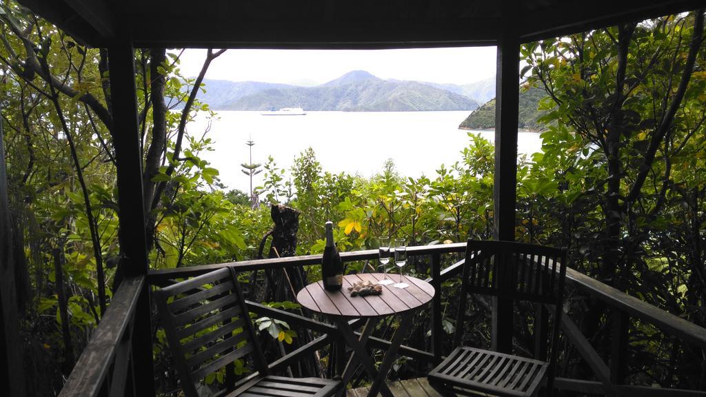 A Sea View B&B Пиктън Екстериор снимка