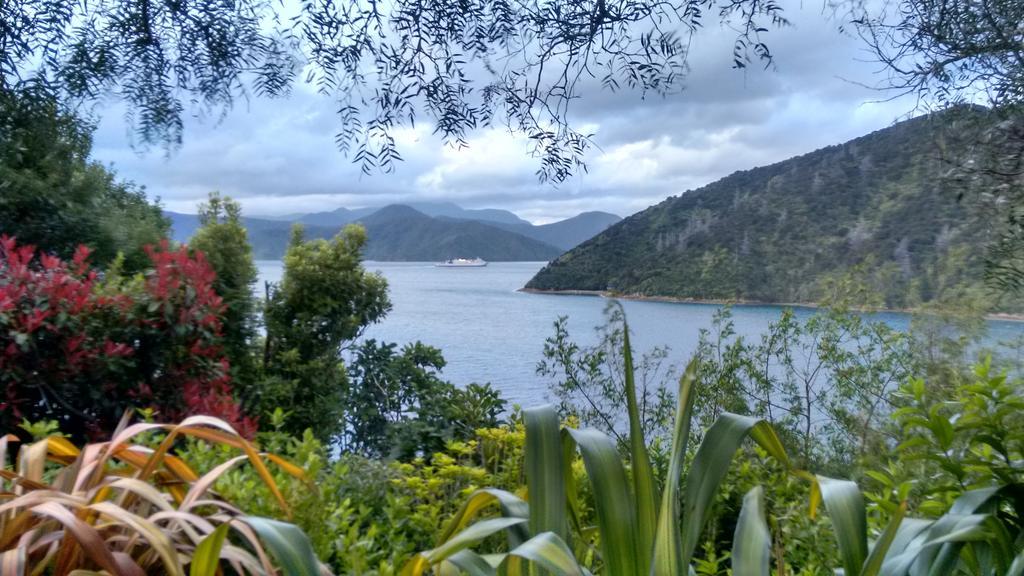 A Sea View B&B Пиктън Стая снимка